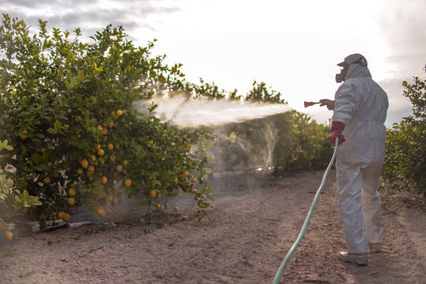 Best Best Pest Control Companies  in Frisco City, AL