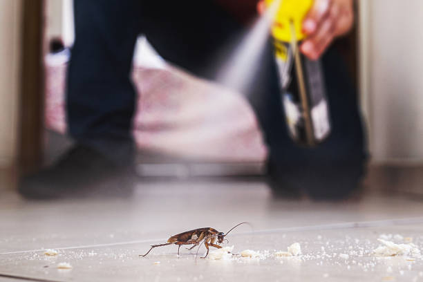 Best Local Pest Control Services  in Frisco City, AL