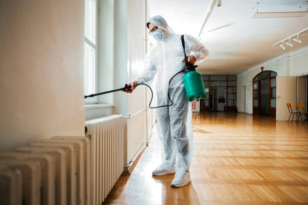 Best Termite Control Services  in Frisco City, AL
